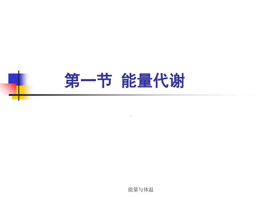 能量与体温课件_第2页