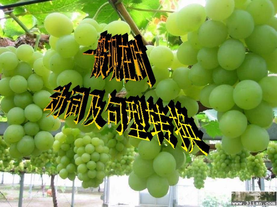 一般现在时动词及句型转换