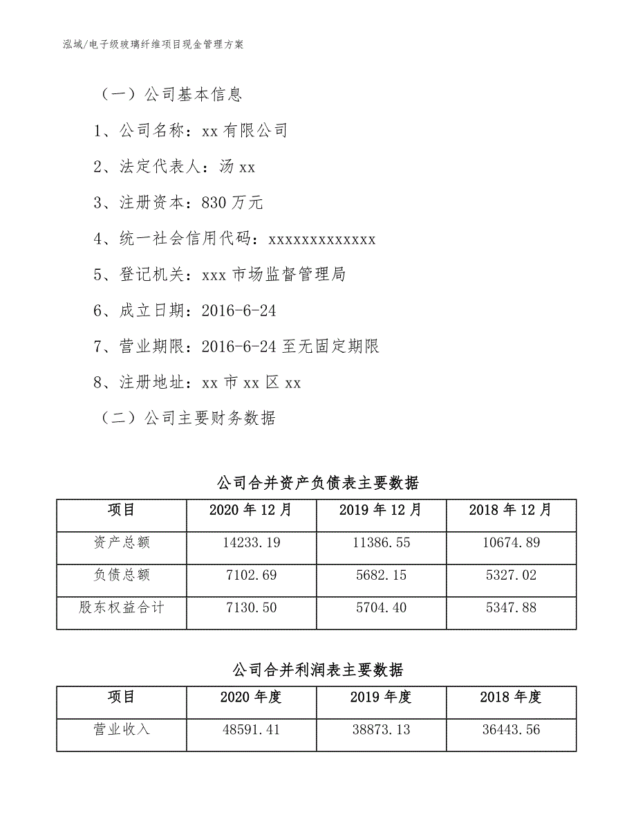 电子级玻璃纤维项目现金管理方案_第3页