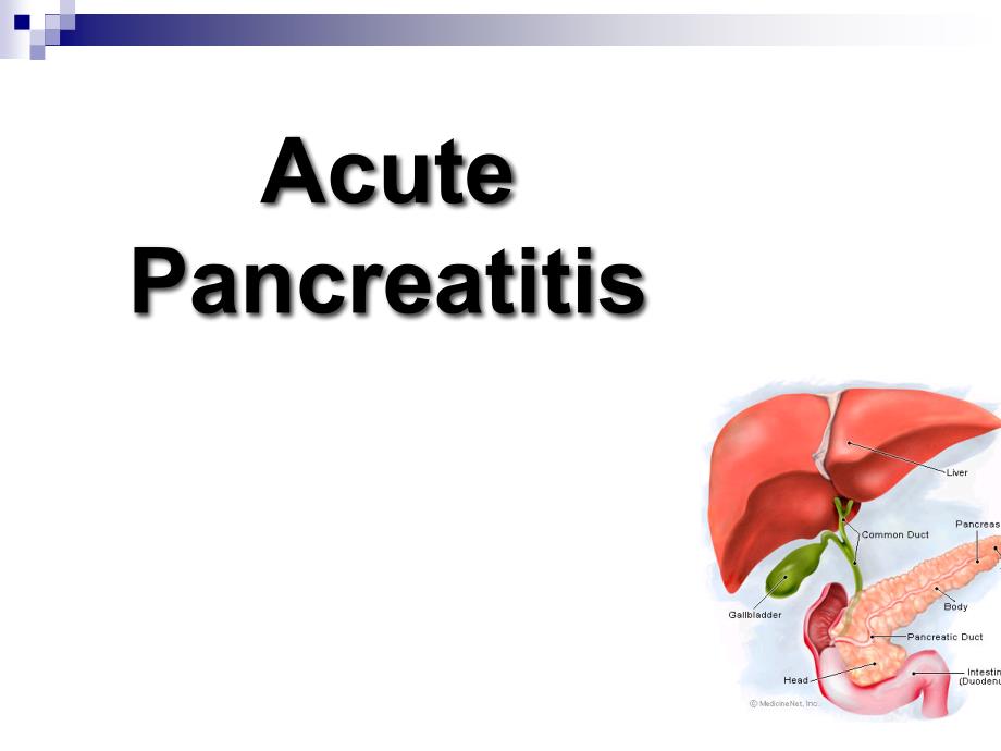 内科学教学课件：Acute Pancreatitis_第1页