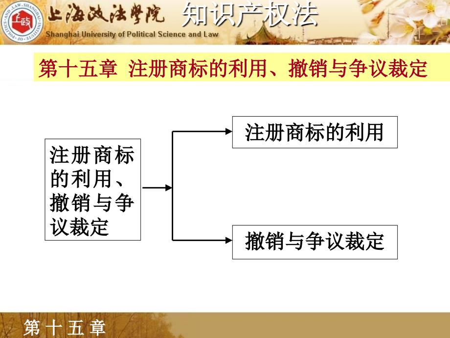 第十五章注册商标的利用撤销与争议裁定_第1页