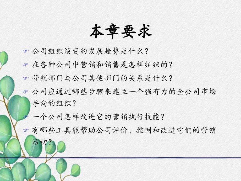 营销进阶组织执行评价和控制营销活动_第2页