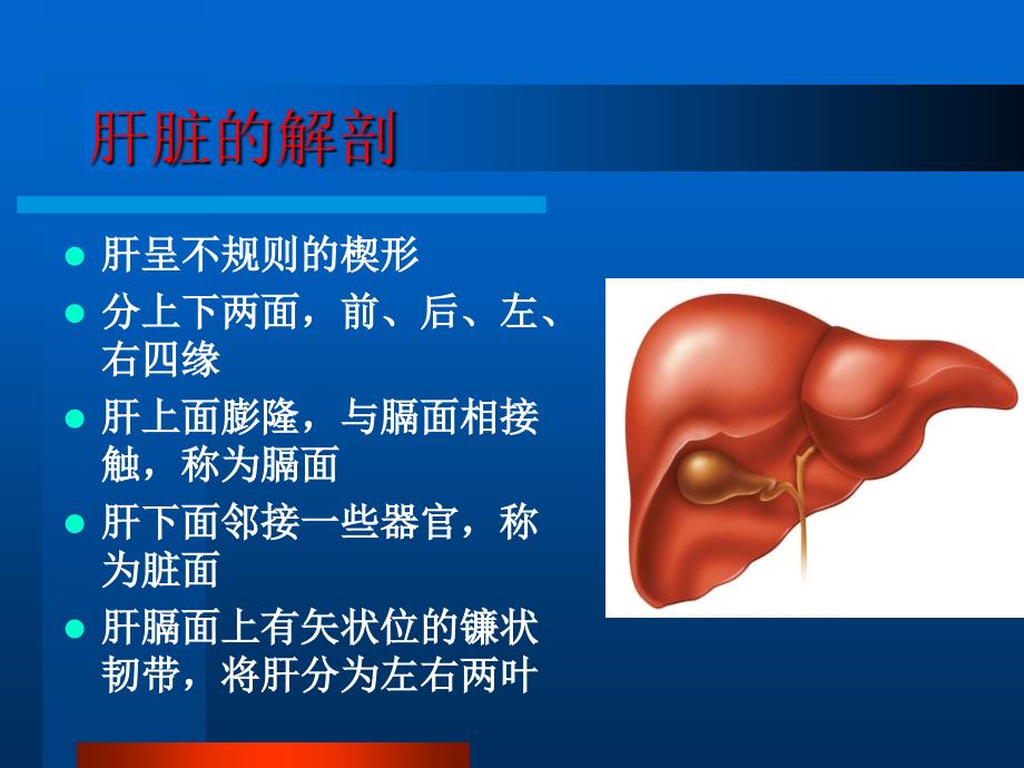 科内讲课肝脏的影像学解剖及ct诊断 ppt课件_第3页