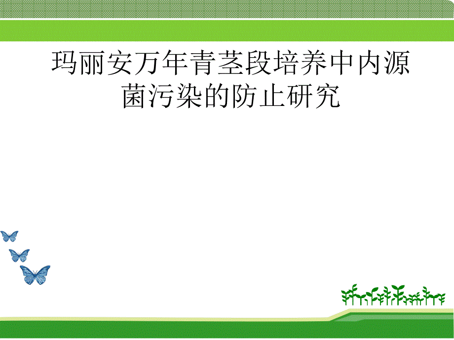 玛丽安万年青茎段培养中内源菌污染的防止研究.ppt_第1页