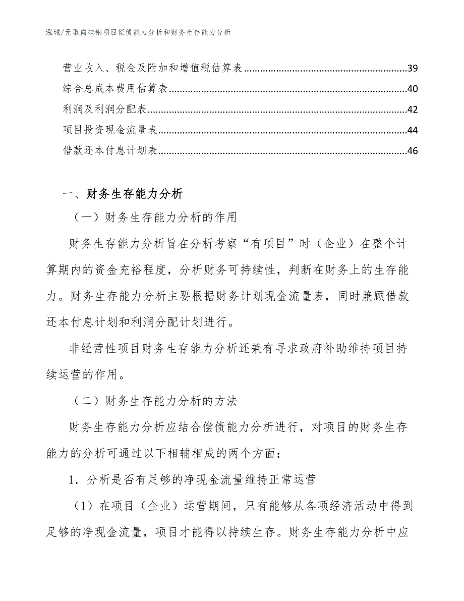 无取向硅钢项目偿债能力分析和财务生存能力分析【范文】_第2页