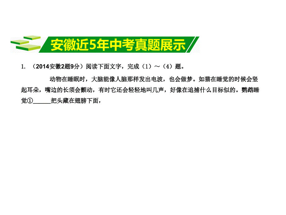 安徽省中考语文 第一部分 语文积累与综合运用 专题二 语文积累综合训练课件_第4页