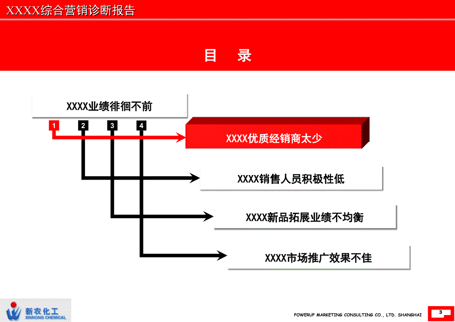 XX营销调研诊断报告提炼版3_第4页