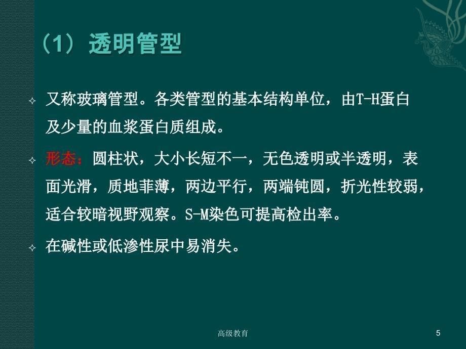 管型含管型的种类和临床意义等严选荟萃_第5页