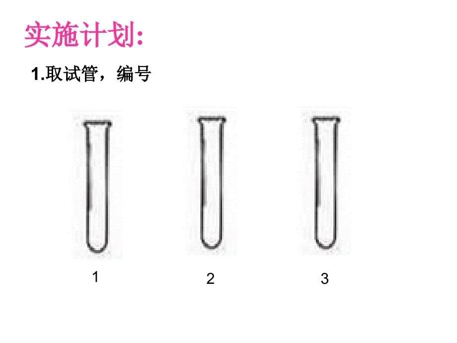 山东省烟台市牟平实验初级中学七年级生物下册 4.2.2 消化和吸收课件 新人教版_第5页