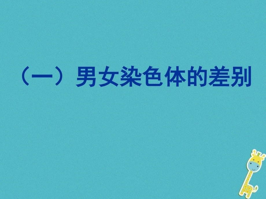 八年级生物下册 第二章 第四节 人的性别遗传1 （新版）新人教版_第5页