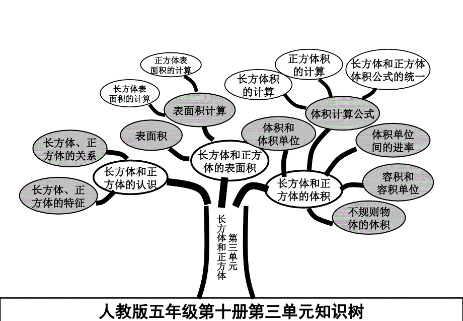 人教版五年级下册数学知识树.ppt_第4页