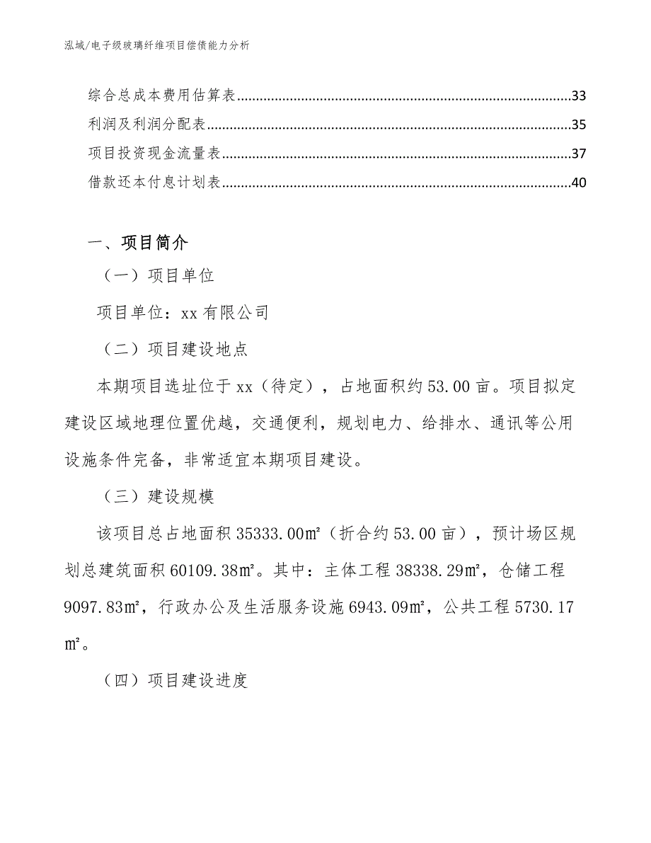 电子级玻璃纤维项目偿债能力分析【范文】_第2页