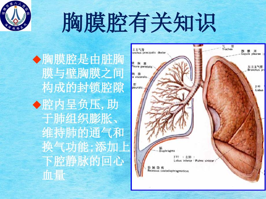 胸腔闭式引流术ppt课件_第3页