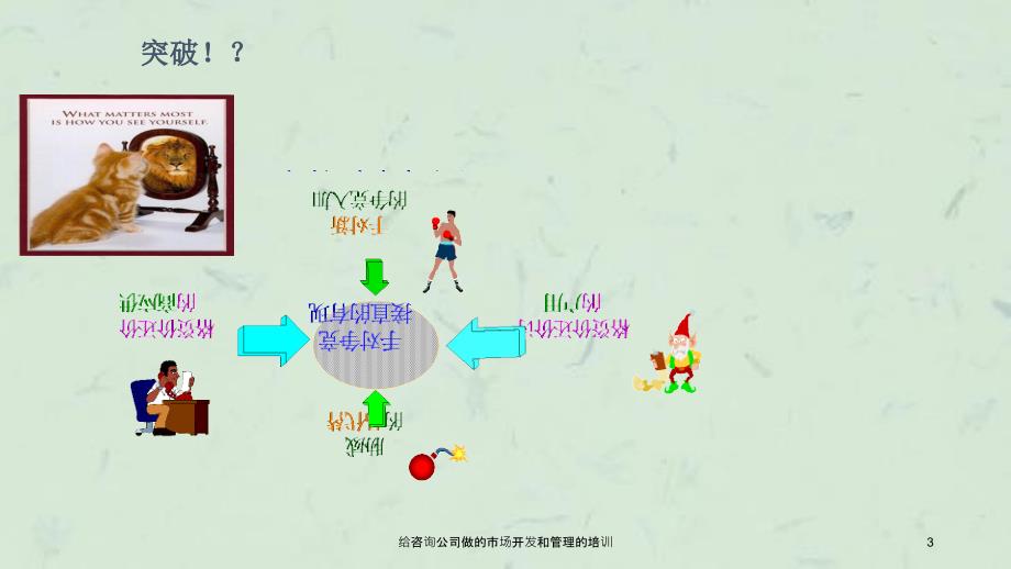 给咨询公司做的市场开发和管理的培训_第3页