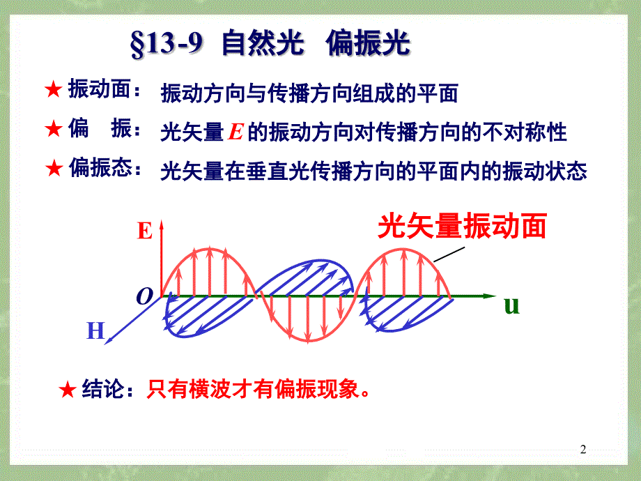 光学光的偏振.PPT_第2页