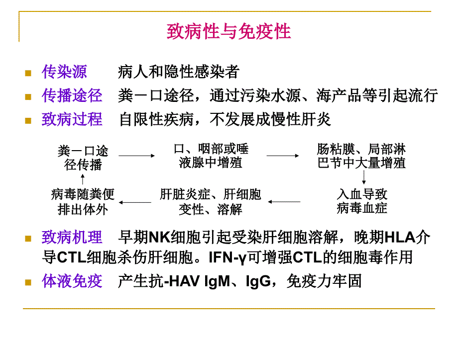 微生物学第22章肝炎病毒_第4页