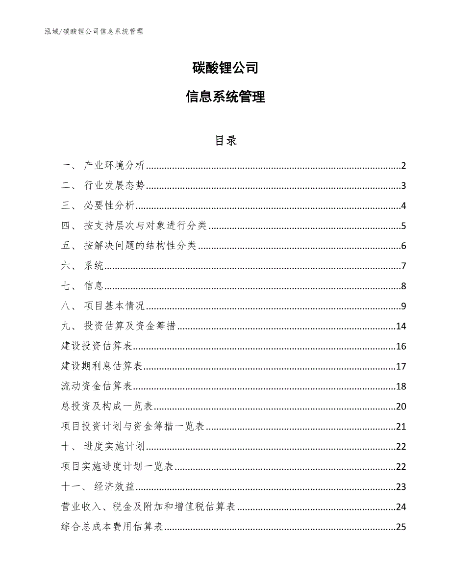 碳酸锂公司信息系统管理_第1页