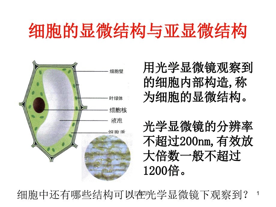 细胞的显微结构与亚显微结构竹菊书苑_第1页