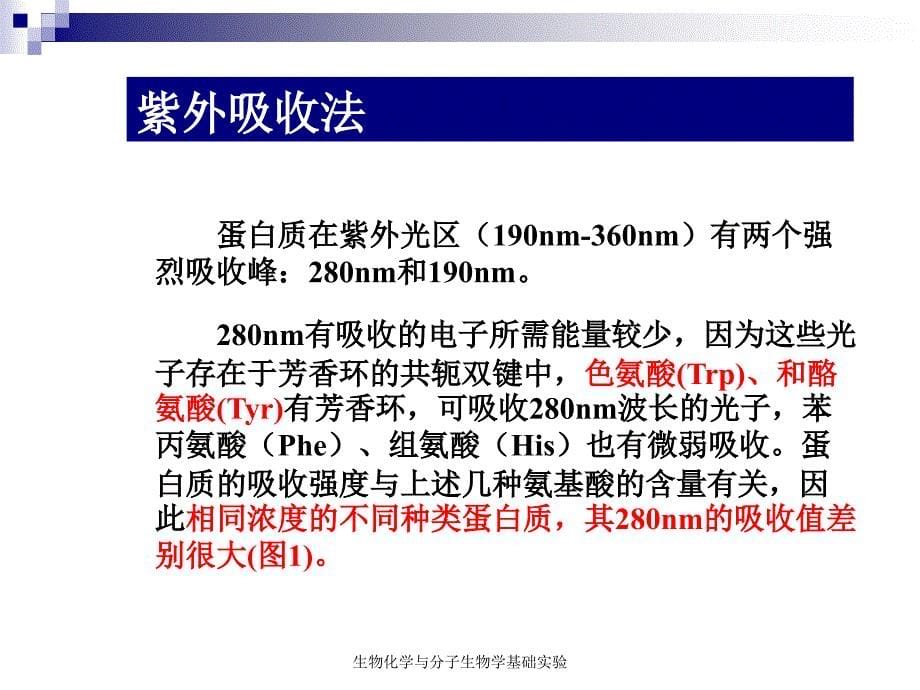 实验一、蛋白质含量测定_第5页