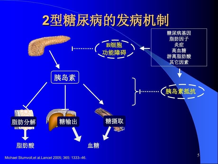 糖尿病的降糖药物治疗ppt课件_第5页