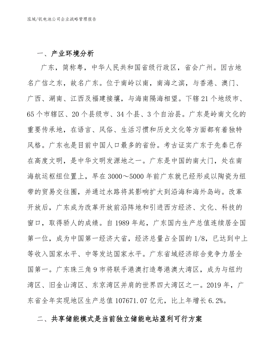 钒电池公司企业战略管理报告_参考_第2页