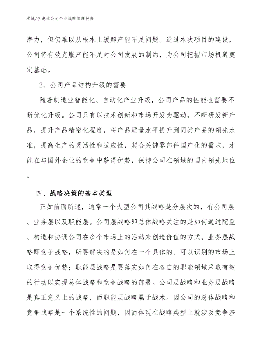 钒电池公司企业战略管理报告_参考_第4页