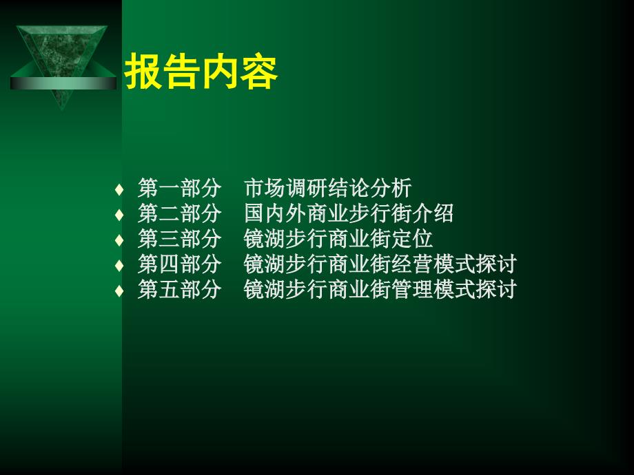 江苏仪征某大型休闲商业左岸时尚购物公园营销定位报告71PPT_第2页