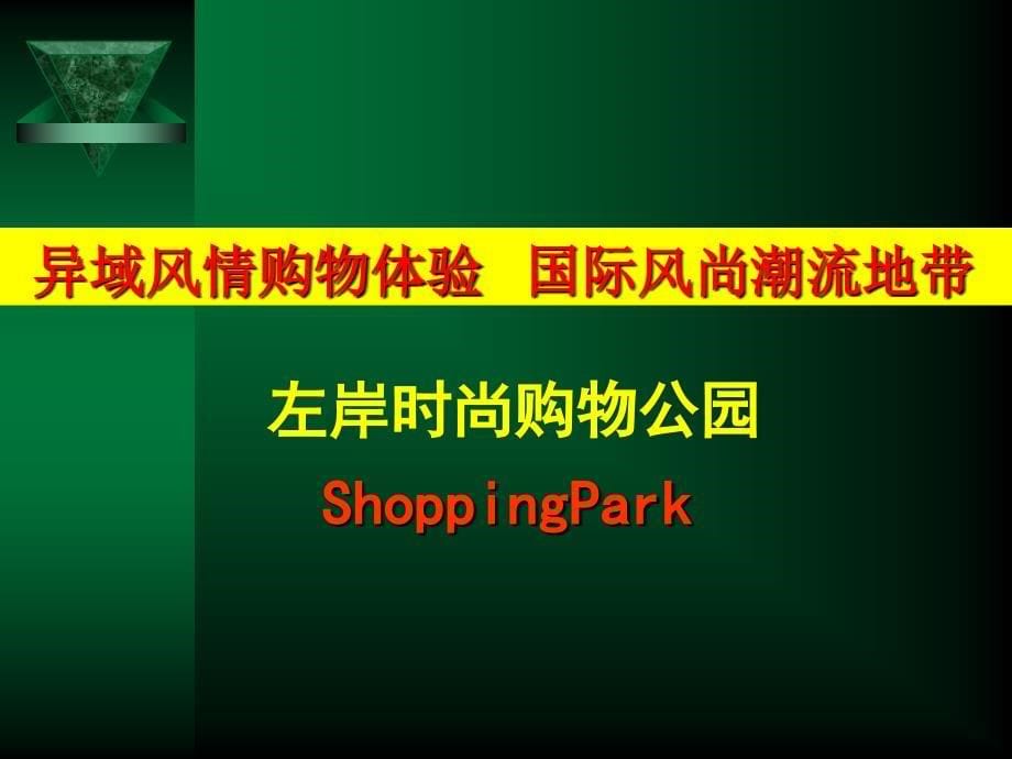 江苏仪征某大型休闲商业左岸时尚购物公园营销定位报告71PPT_第5页