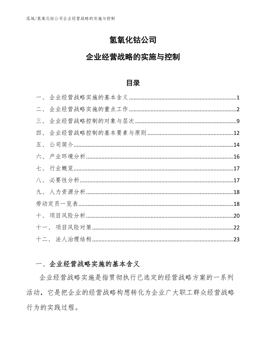 氢氧化钴公司企业经营战略的实施与控制【参考】_第1页