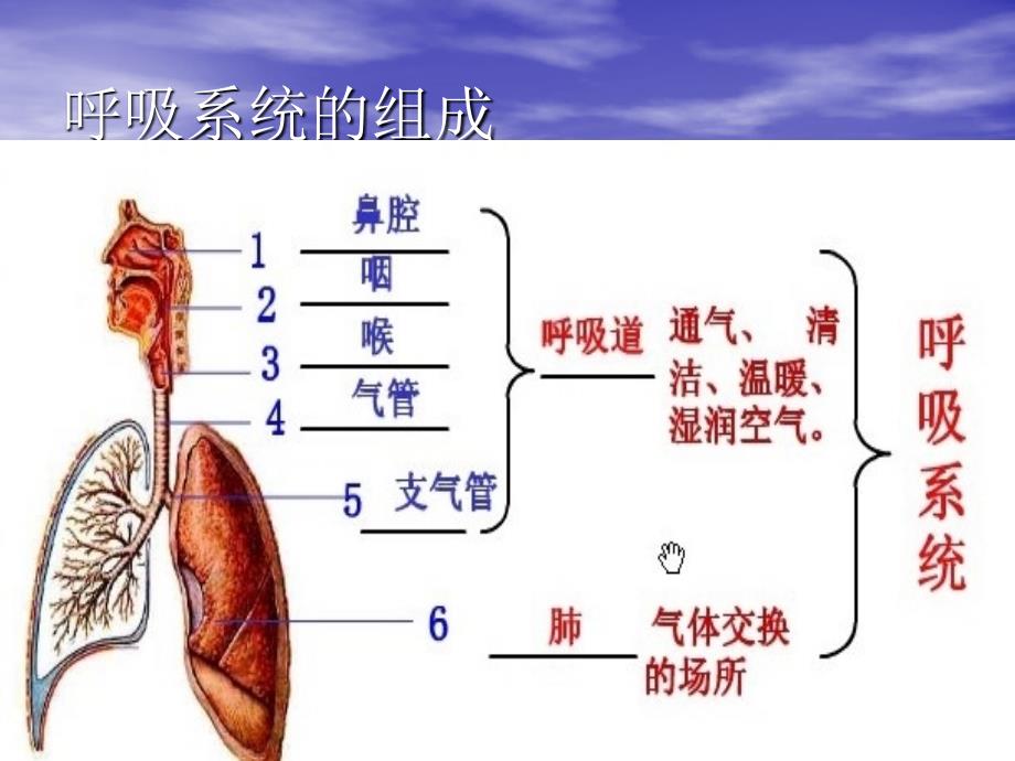 呼吸系统疾病的护理 PPT课件_第4页