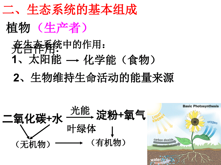 生态系统的组成及相互关系_第4页