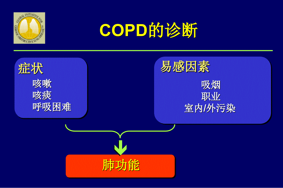 慢性阻塞性肺疾病的内科治疗_第3页