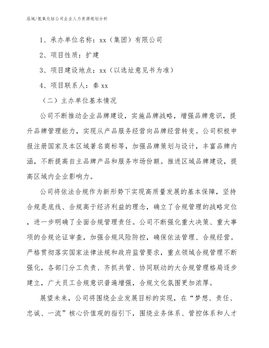 氢氧化钴公司企业人力资源规划分析（参考）_第2页