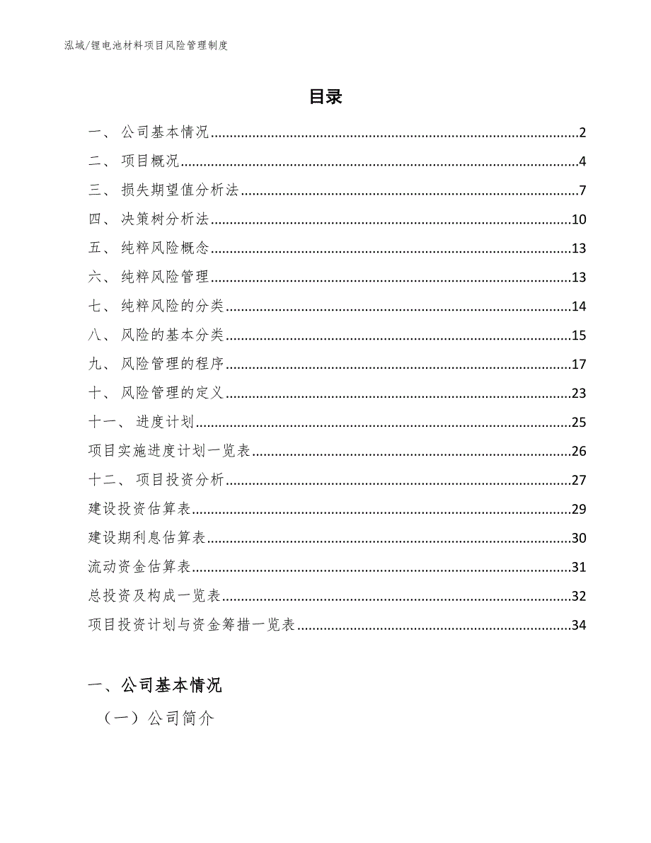 锂电池材料项目风险管理制度_第2页