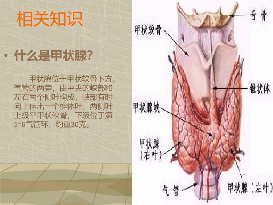 甲状腺肿护理查房_第3页