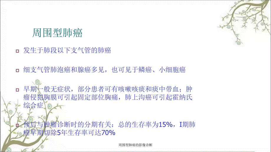 周围型肺癌的影像诊断_第2页