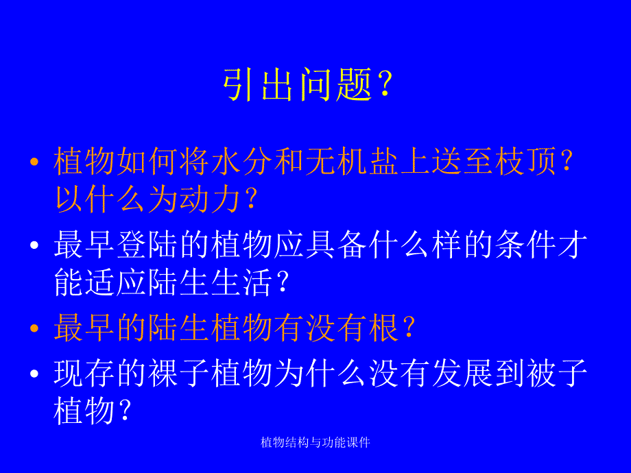 植物结构与功能课件_第3页