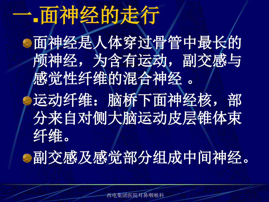 面神经解剖PPT课件_第2页