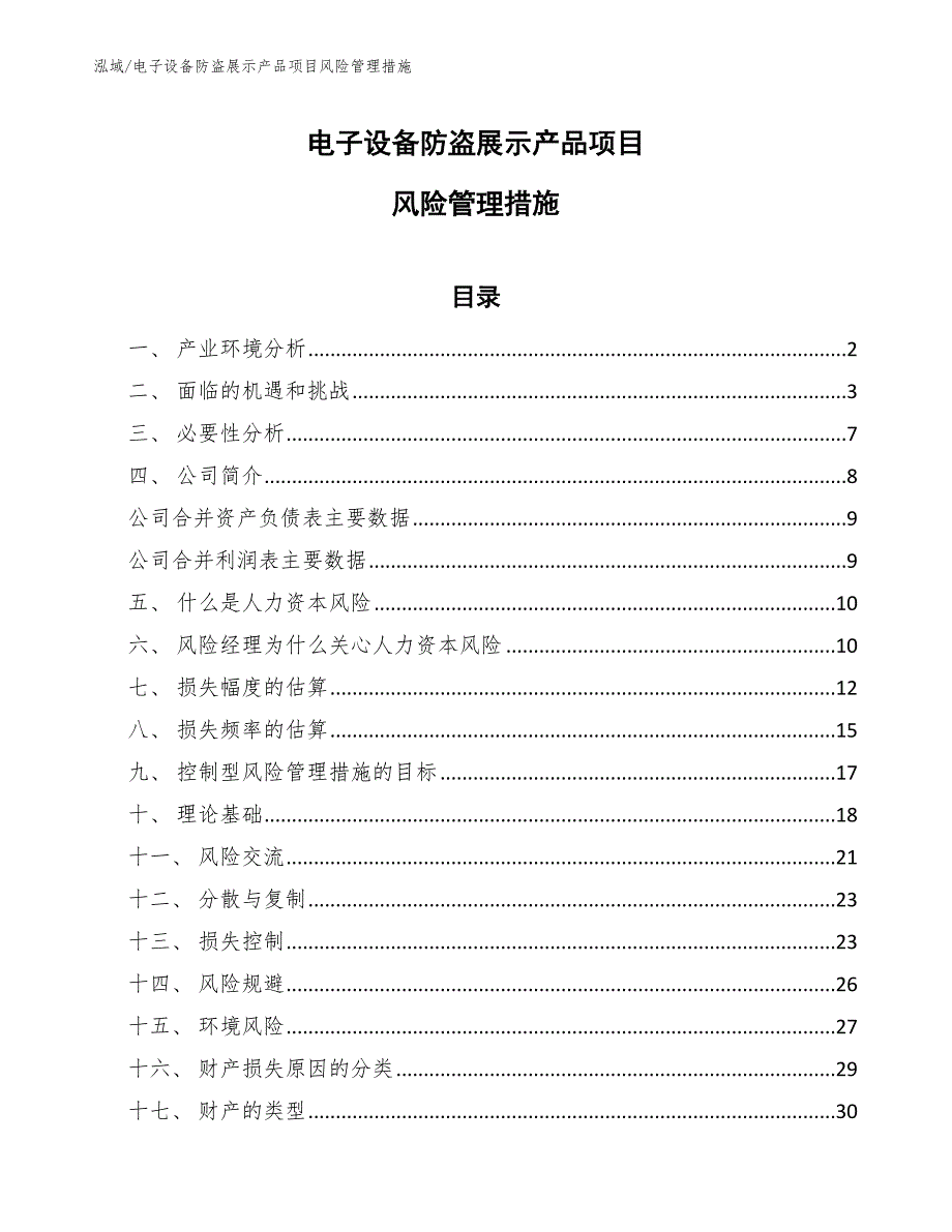 电子设备防盗展示产品项目风险管理措施_第1页