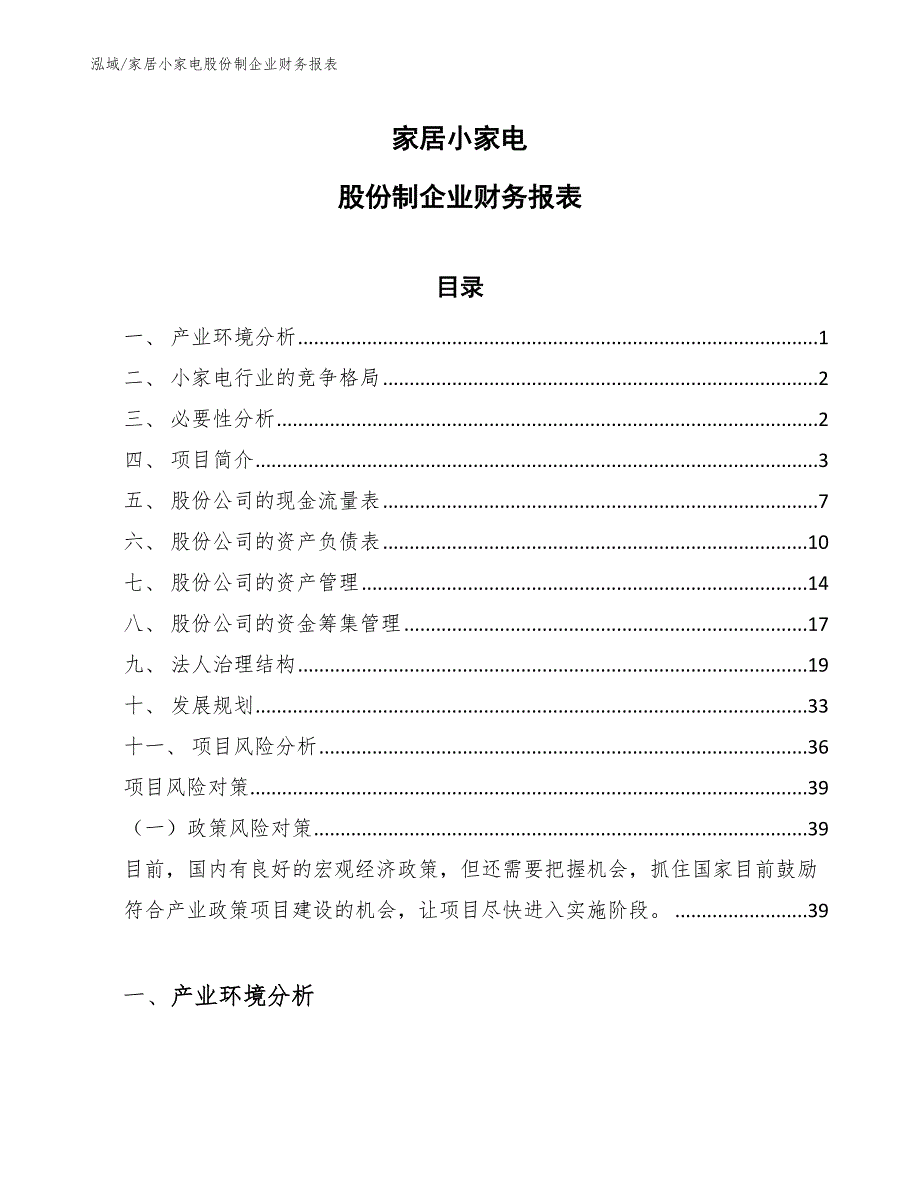 家居小家电股份制企业财务报表_第1页