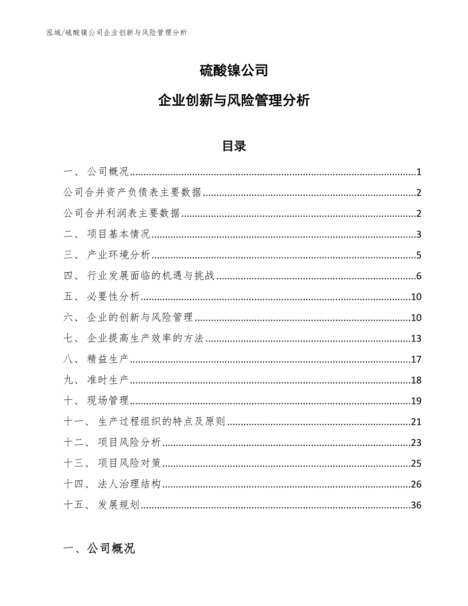 硫酸镍公司企业创新与风险管理分析【参考】_第1页