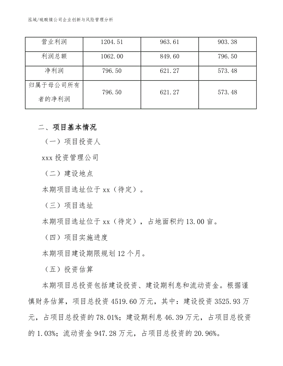 硫酸镍公司企业创新与风险管理分析【参考】_第3页