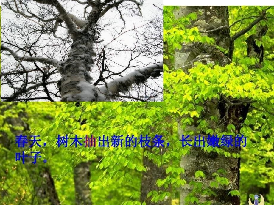 美丽的小兴安岭_PPT_第5页