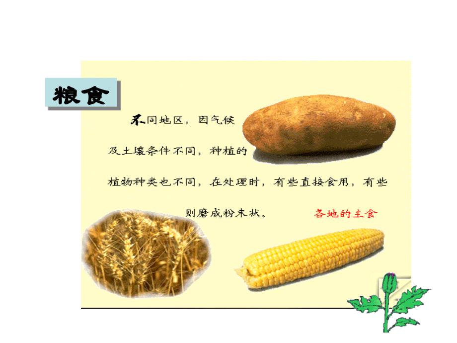 北师大版生物七年级上册3.7.1绿色植物在生物圈中的作用课件_第2页