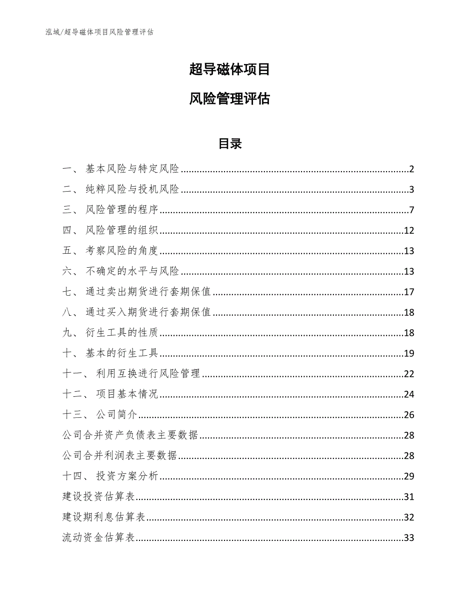 超导磁体项目风险管理评估（参考）_第1页