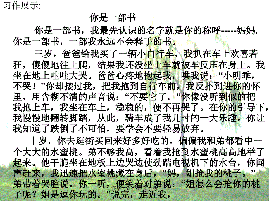 你是一部书作文评析_第3页