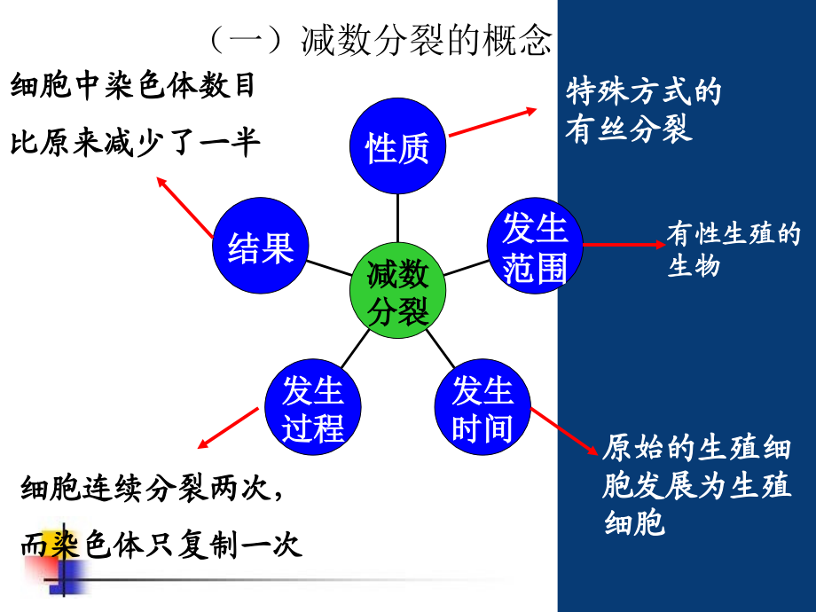 减数分裂课件(动画)_第4页