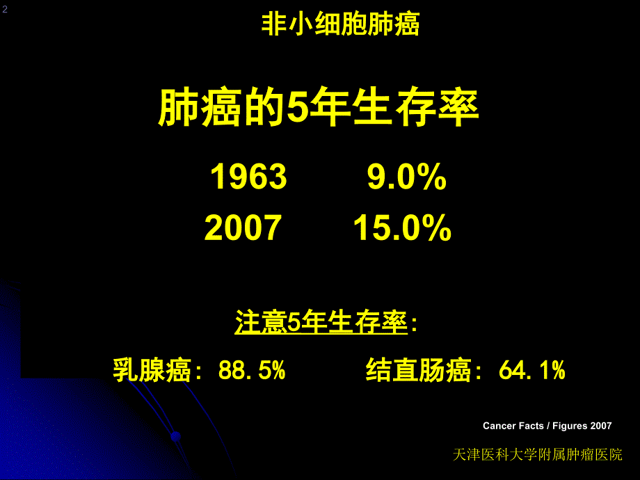 局部晚期非小细胞肺癌综合治疗.ppt_第2页