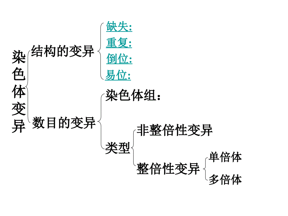 252染色体变异_第2页