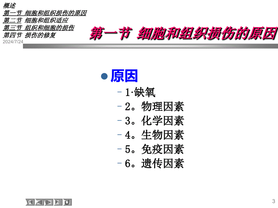 第2章细胞和组织的损伤与修复_第3页